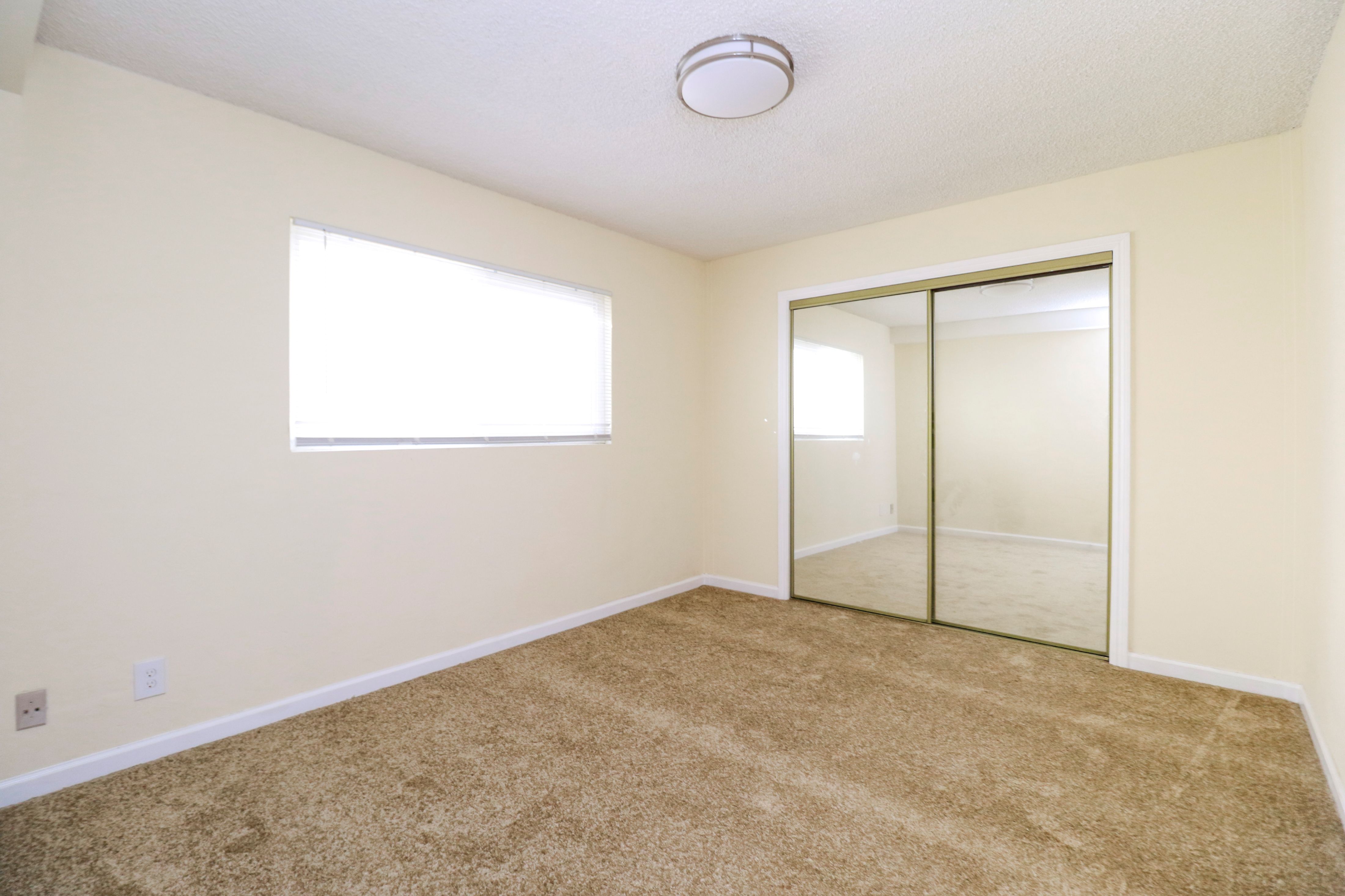 A room with a carpeted floor and a sliding glass door.